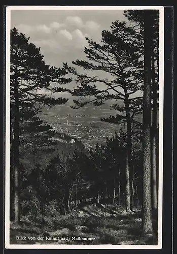 AK Maikammer, Blick von der Kalmit nach Maikammer