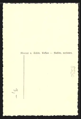 AK Passau, Partie am Inn