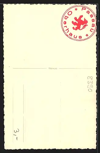 AK Passau-Oberhaus, Blick auf Niederhaus