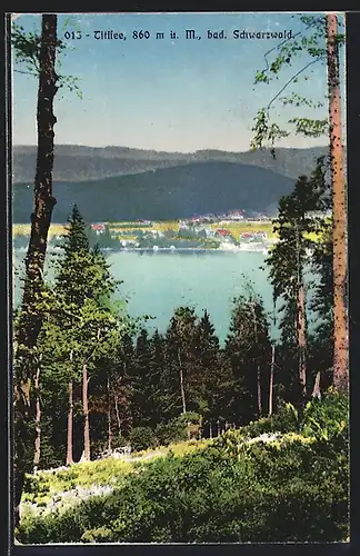 AK Titisee /Schwarzwald, Panorama von einer Anhöhe aus