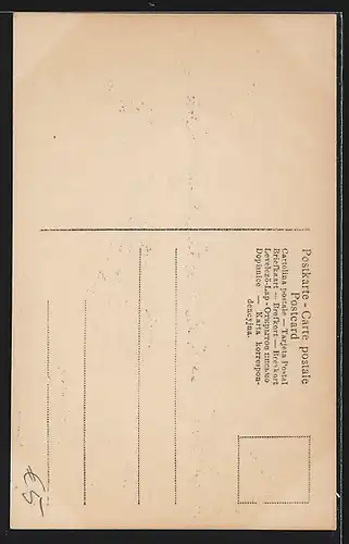 AK Richard Wagner, Profilansicht