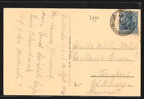 AK Friedrichshafen a. B., Ortsansicht mit Bodensee und Dampfer