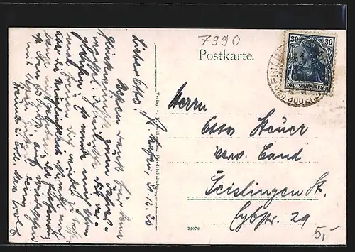 AK Friedrichshafen, Totalansicht m. Bodensee