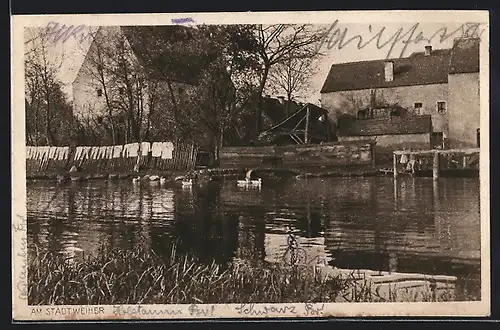 AK Grafenwöhr, Am Stadtweiher, mit Wäscheleine