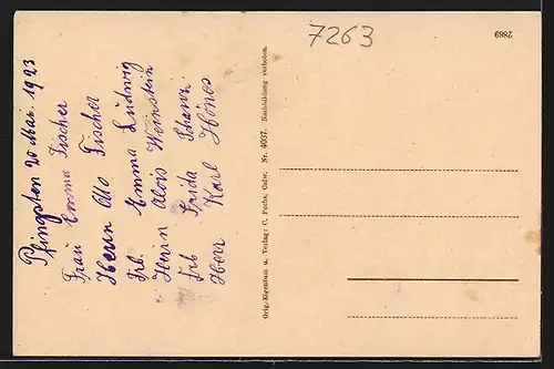 AK Bad Liebenzell, Gesamtansicht aus der Vogelschau