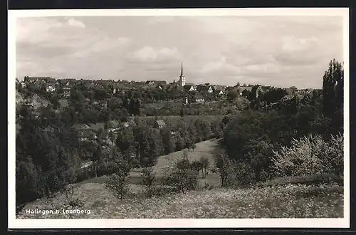 AK Höfingen, Ortspanorama