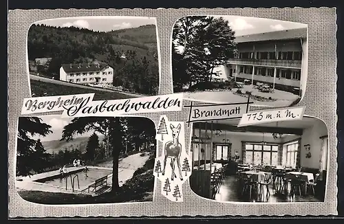 AK Sasbachwalden-Brandmatt, Hotel Bergheim Brandmatt, Schwimmbad