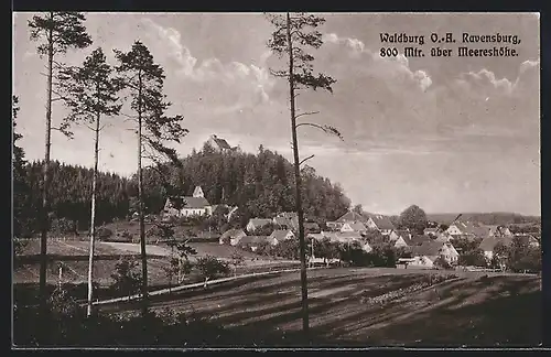 AK Waldburg bei Ravensburg, Ortsansicht mit Landstrasse aus der Vogelschau