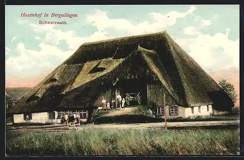 AK Bergalingen, Hozenhof, mit Bauernfamilie