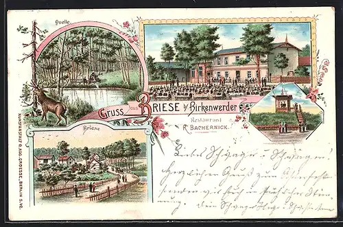 Lithographie Birkenwerder-Brise, Restaurant v. R. Bachernick mit Gartenlokal, Quelle, Ortsansicht