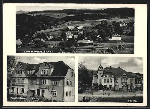 AK Borlas, Gasthaus, Massschneiderei von E.H. Kohl, Ortsansicht