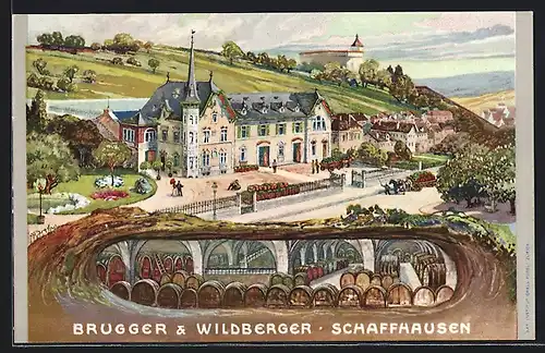 Künstler-AK Schaffhausen, Weingut zur Weinburg Brugger & Wildberger mit Strasse und Umgebung, Weinkeller