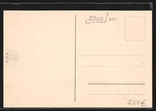 AK Godesberg, Ortsansicht aus der Vogelschau