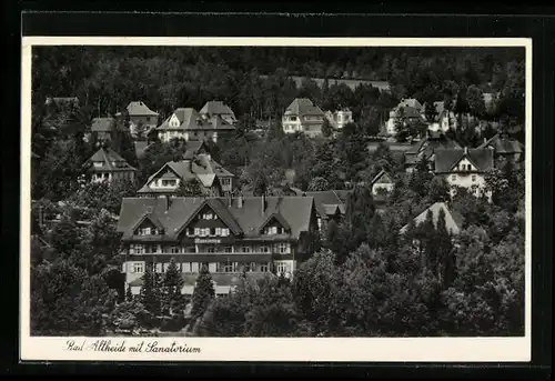 AK Bad Altheide, Ortsansicht mit Sanatorium
