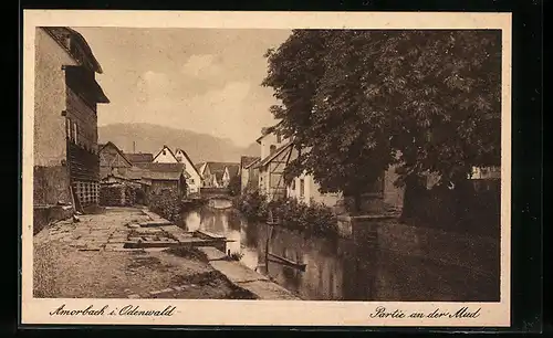 AK Amorbach im Odenwald, Partie an der Mud