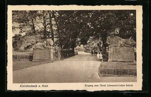 AK Kleinheubach a. Main, Eingang zum Fürstl. Löwenstein`schen Schloss