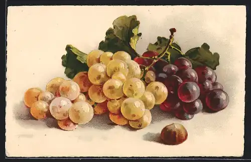 Künstler-AK Catharina Klein: Rote und gelbe Weintrauben