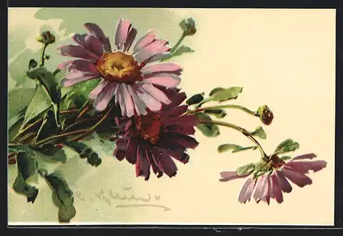 Künstler-AK Catharina Klein: Violette Blumen mit Knospen