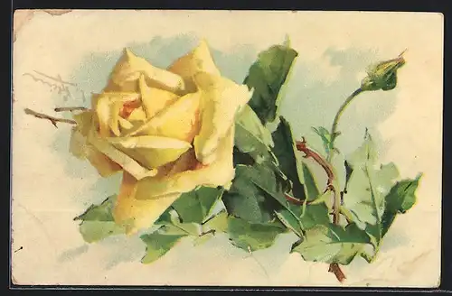 Künstler-AK Catharina Klein: Happy Birthday to you, gelbe Rose