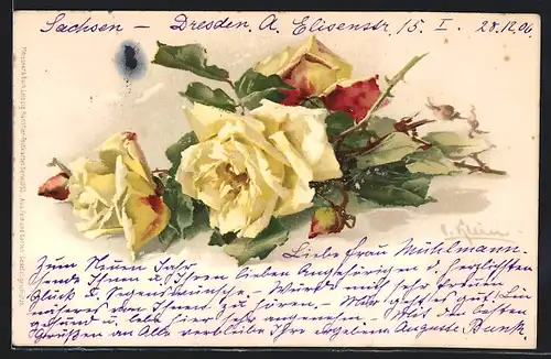 Künstler-AK Catharina Klein: Gelbe Rosen