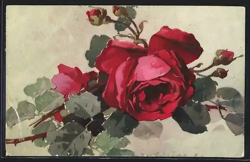 Künstler-AK Catharina Klein: Rote Rose