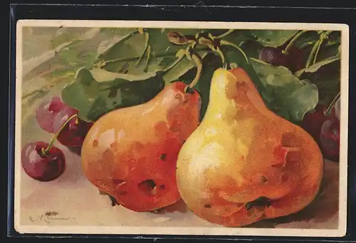 Künstler-AK Catharina Klein: Birnen und Kirschen
