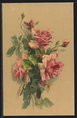 Künstler-AK Catharina Klein: Rosafarben Rosen