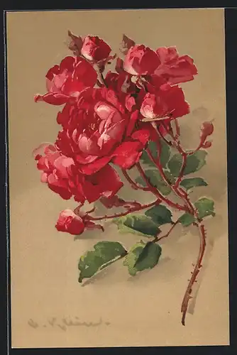 Künstler-AK Catharina Klein: Rosenzweig mit roten Blüten