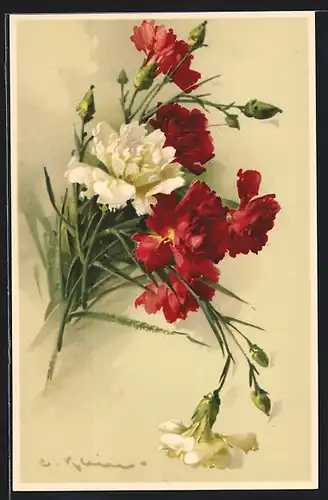 Künstler-AK Catharina Klein: Weisse und rote Nelken