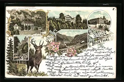 Lithographie Thale, Hotel Zehnpfund, Hotel Rosstrappe, Hexentanzplatz, Eingang Bodetal, Teufelsbrücke