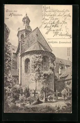 Künstler-AK Hildesheim, 1000 jähr. Rosenstock