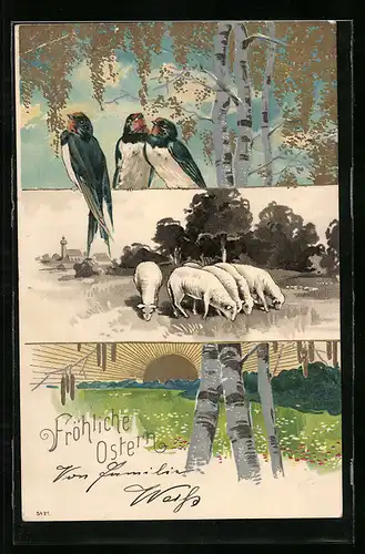AK Ostergruss mit Schwalben, Birken und Schafen
