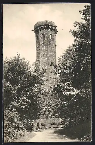 AK Heidelberg, Der Königstuhl