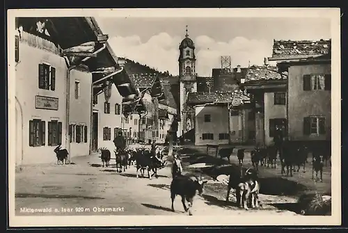 AK Mittenwald a. Isar, Obermarkt mit Ziegenherde