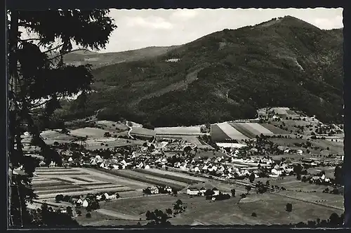 AK Bleibach /Südschwarzwald, Teilansicht mit Blick zum Hörnleberg