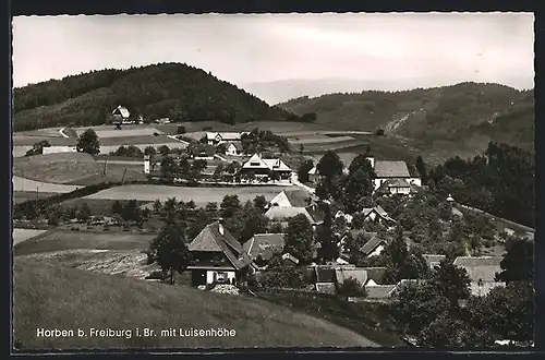 AK Horben b. Freiburg, Teilansicht mit Luisenhöhe