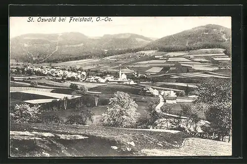 AK St. Oswald, Panoramablick auf Dorf und Umgebung