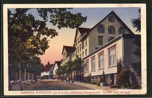 AK Baiersbronn, Blick auf das Hotel Kurhaus Ruhestein im nördlichen Schwarzwald