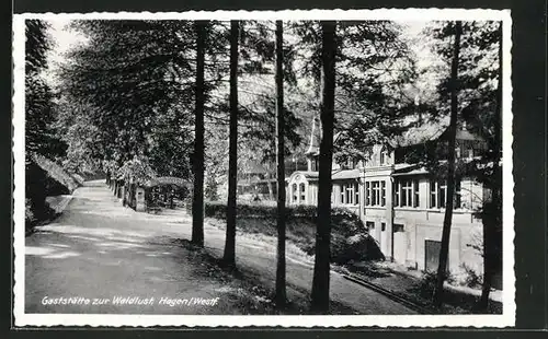 AK Hagen / Westf., Gaststätte zur Waldlust