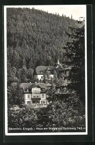 AK Bärenfels, Hotel am Walde mit Spitzberg