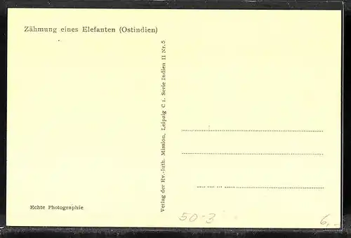 AK Zähmung eines Elefanten in Ostindien