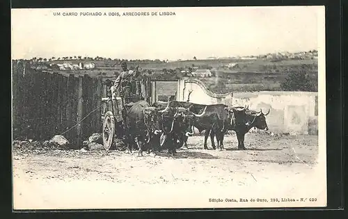 AK Lisboa, Landwirt auf seinem Ochsengespann