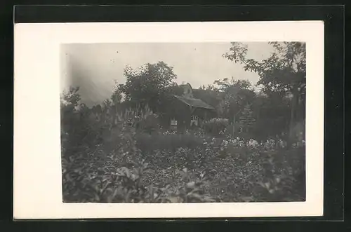 Foto-AK Hersbruck, Gartenbaubetrieb Robert Schulze