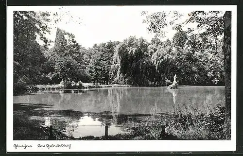 AK Glauchau, Blick auf den Gründelteich