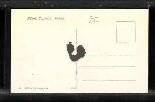 AK Wehlen / Sächs. Schweiz, Ortsansicht mit Blick ins Elbtal