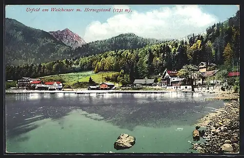 AK Urfeld am Walchensee, Uferpartie mit Herzogstand