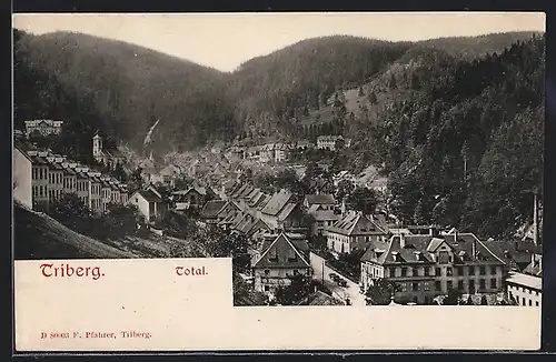 AK Triberg / Schwarzwald, Totalansicht