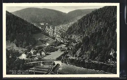 AK Triberg, Blick vom Hohnen