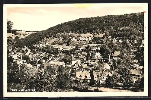 AK Triberg / Schwarzwald, Gesamtansicht