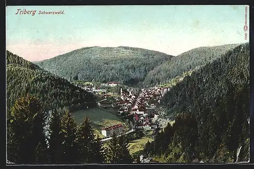 AK Triberg / Schwarzwald, Gesamtansicht